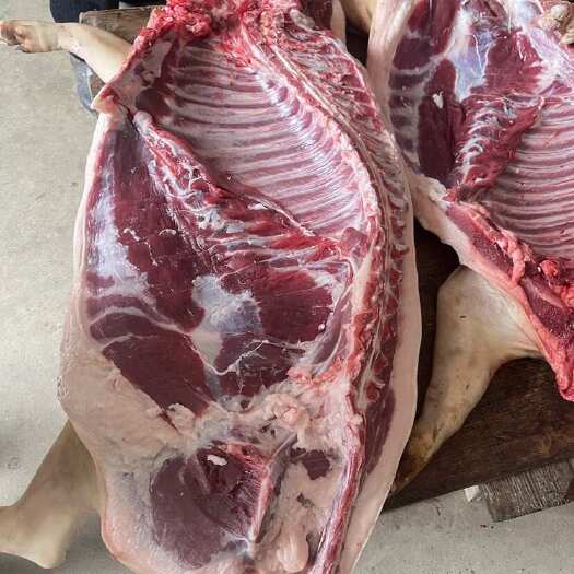 藏香猪肉 山林绿色生态放养