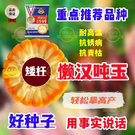 懒汉吨玉米矮杆抗倒抗病高产玉米种子新品种吨粮苞米籽正品