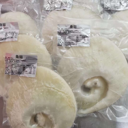 广州大盘翅
