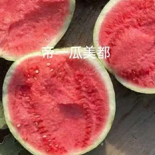 夏邑县帝一瓜美都西瓜种子，早熟，大红瓤，糖度14，细脆爽口，耐贮运