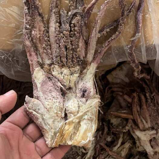 成都鱿鱼干