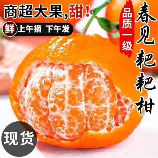 【礼盒彩箱】四川耙耙柑春见当应季新鲜水果丑橘子粑粑柑桔子