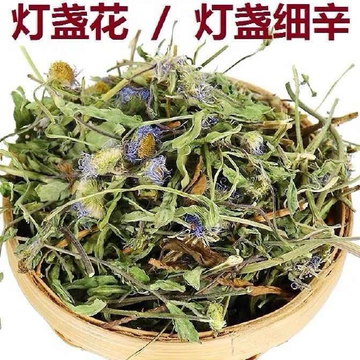 灯盏花 灯盏细辛    干净    量大从优