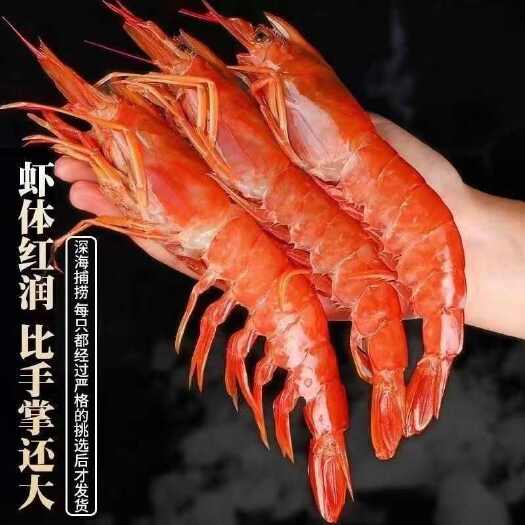 【25年新货】国联阿根廷红虾L1净重4斤原装虾鲜活船