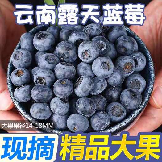 优瑞卡蓝莓[顺丰包邮] 云南蓝莓鲜果甜蓝莓大果同城当季新果