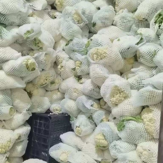 宣威市精品散花