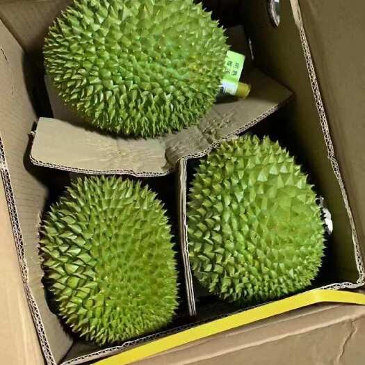 嘉兴泰国金枕榴莲A6新店开业680一件
