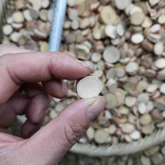贺州五指毛桃精片手工精选片批发价