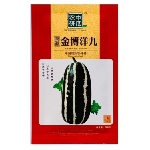 南京金博洋九薄皮杂交甜瓜种子厚肉黄绿色9号酥瓜种籽香甜大田孑