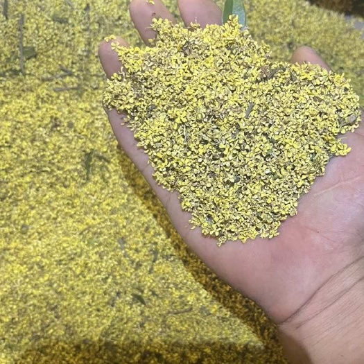 歙县桂花茶，干桂花 新花大量上市，无硫，质量好，做良心货