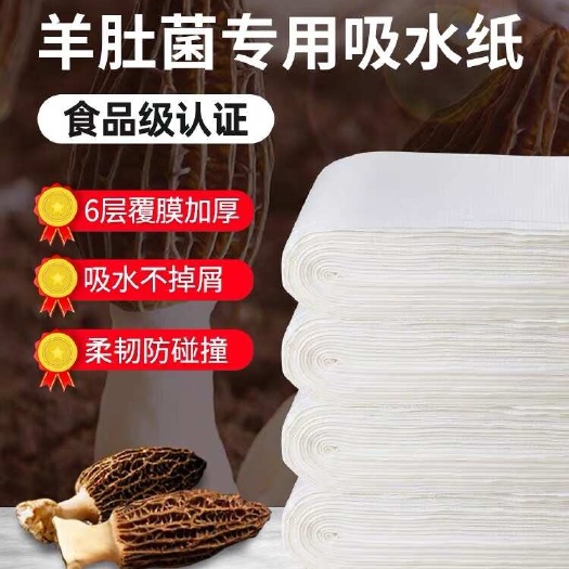 大连菌类吸水纸V：155 6694 8034