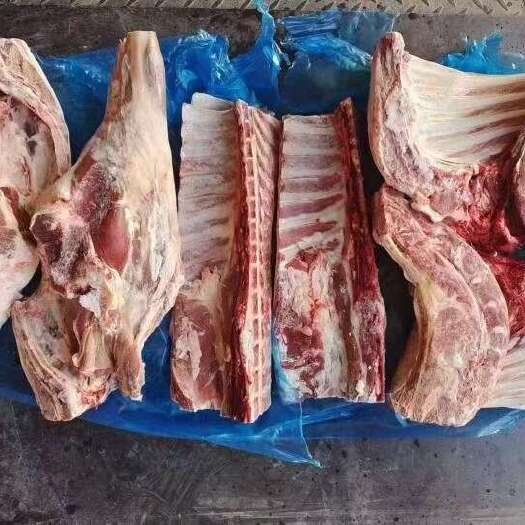 郑州新西兰80厂小码六分体