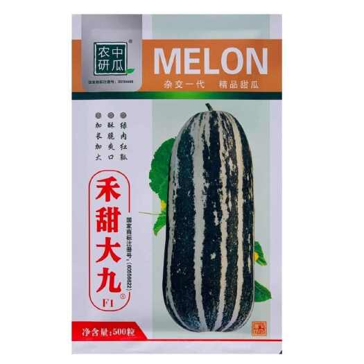 南京禾甜大九薄皮9号甜瓜种子优质绿肉红瓤酥脆香甜非转基因大田用种