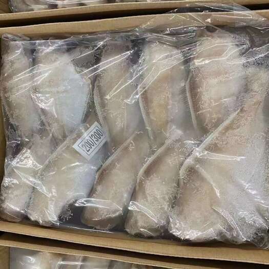 重庆市马面鱼