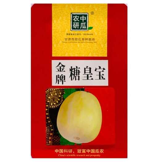 南京金牌糖皇宝甜瓜种子早熟黄白皮抗逆性强耐贮运糖度高基地甜瓜种孑