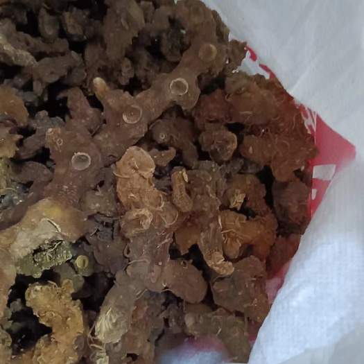 宜昌黄精