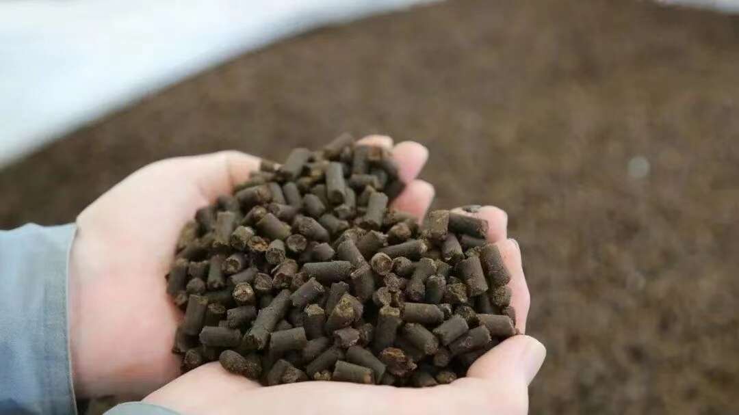 菌肥  生物有机肥、（有机质50有益菌2亿，豆粕，肉粉，黄腐