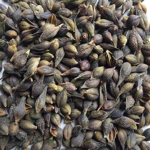 沁源县青翘