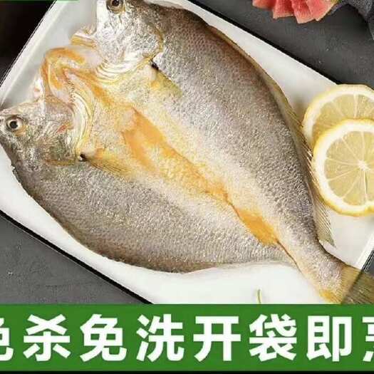 新货开背黄鱼开背黄鱼鲞三去免处理调味黄花鱼新鲜黄鱼鲞大黄鱼