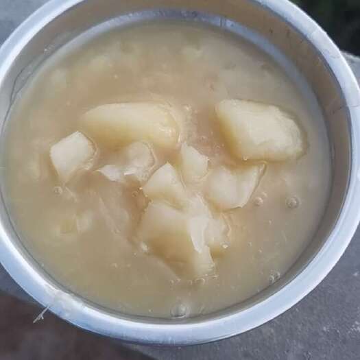 北流市木薯
