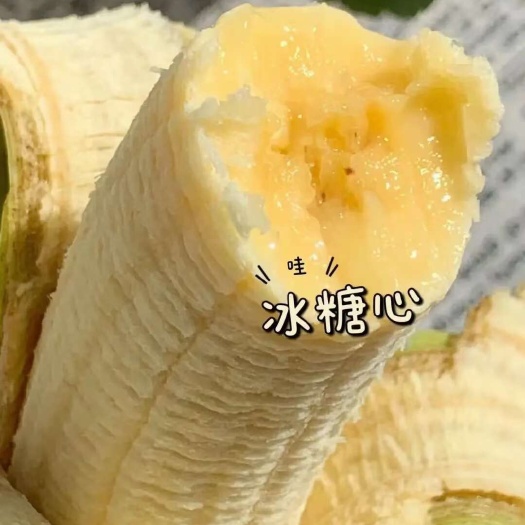 宜川县香蕉