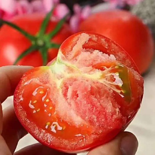 泾阳县泾阳普罗旺斯水果西红