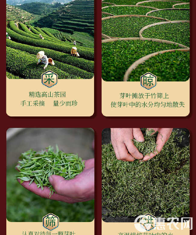 四大绿茶一次喝个够2023年新茶碧螺春铁观音毛尖云雾茶。