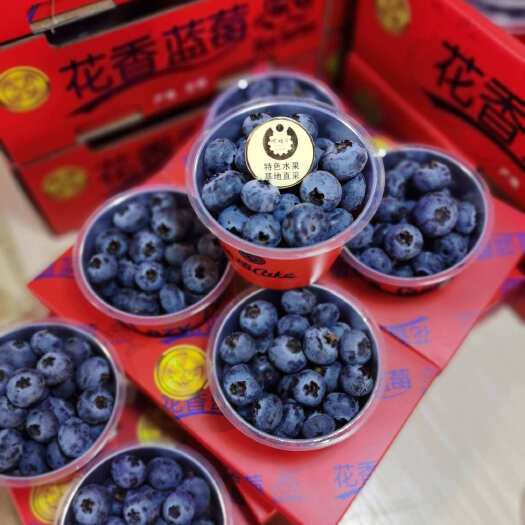 个旧市云南蓝莓线上线下