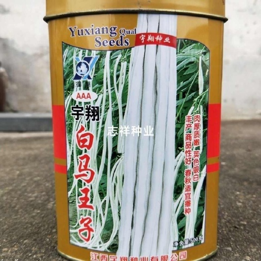 华容县宇翔白马王子白色豇豆长豆角种子四季种植蔬菜种子 肉厚质嫩荚长