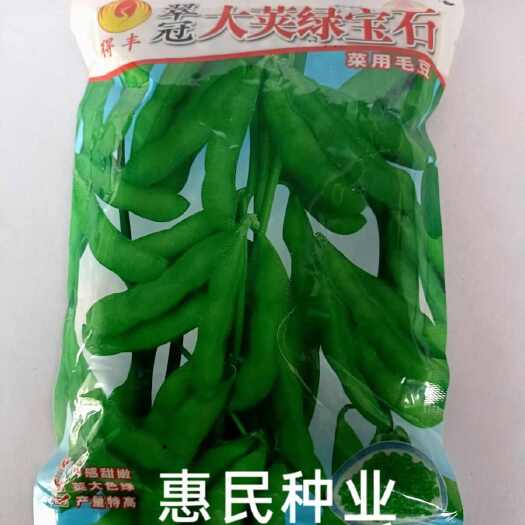 华容县翠冠大荚甜嫩绿宝石毛豆种子中熟大粒青毛豆种籽鲜食毛豆菜用1斤