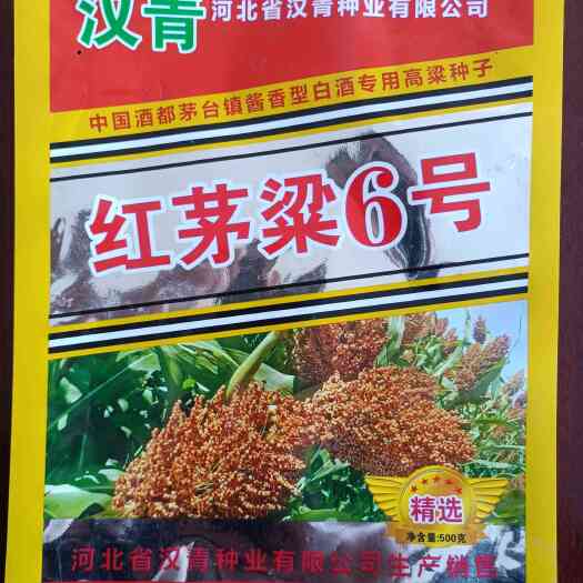 青县红茅六号种子