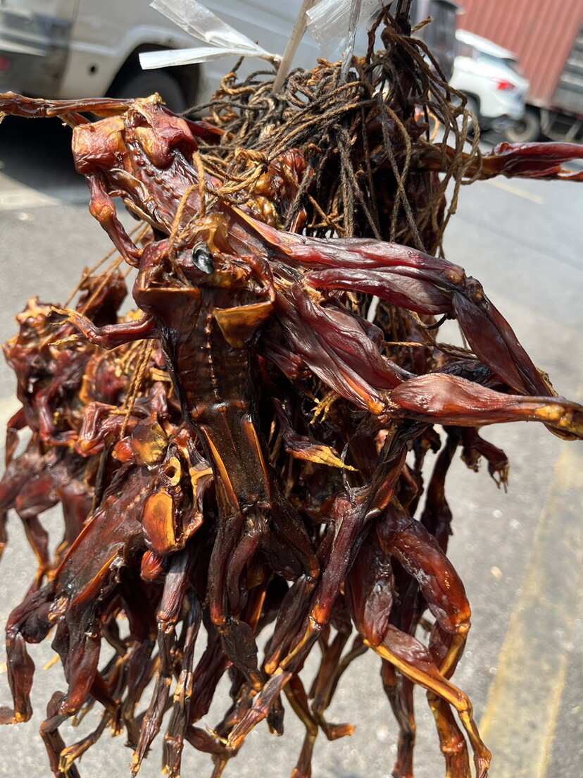 农家柴火炭熏牛蛙腊牛蛙牛蛙干