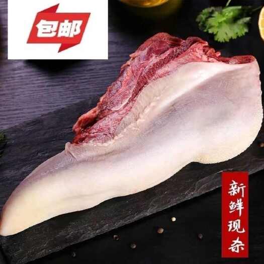 漯河小黄牛草饲牛舌头口条高端食材新鲜精修鲜冻牛舌烧烤火锅食材