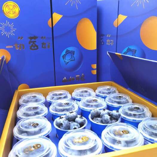个旧市云南蓝莓线上线下