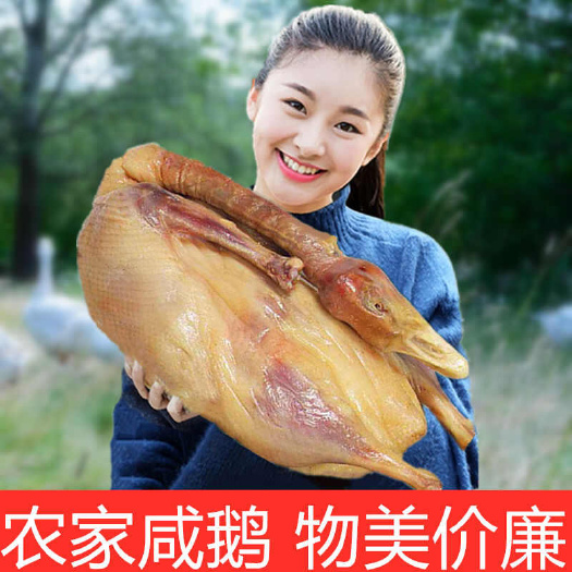 温岭市溧阳咸鹅天目湖特产腌鹅农家腊鹅风干鹅腊肉安徽鹅肉腊鹅包邮