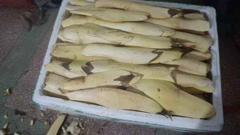 长沙新鲜棕包