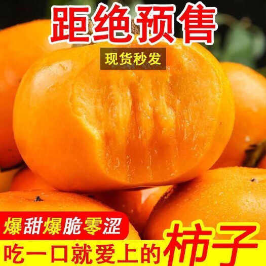西安脆柿子脆甜新鲜水果生吃硬火晶孕妇应季批发