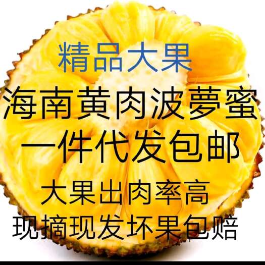 海南黄肉菠萝蜜干苞新鲜四季有水果一手货源现摘现发批发一件代发