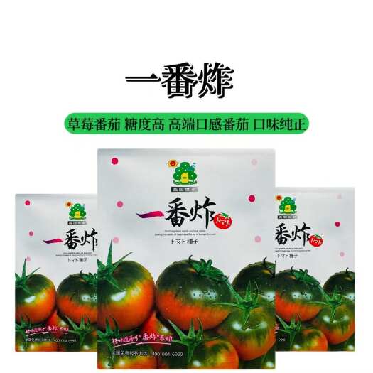 宿迁一番炸番茄种子优选口感型番茄种籽无限生长型抗病性强西红柿种子