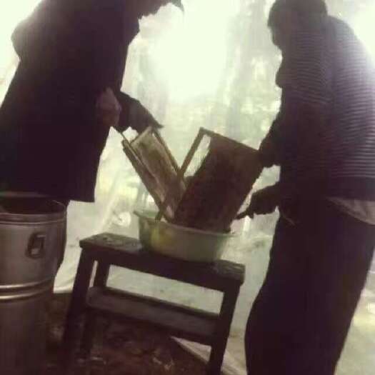 重庆市土蜂蜜