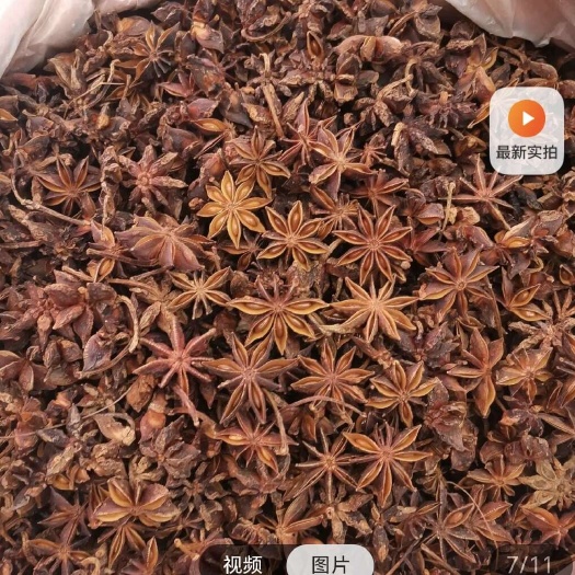 广州大红八角 大料八角  八角碎