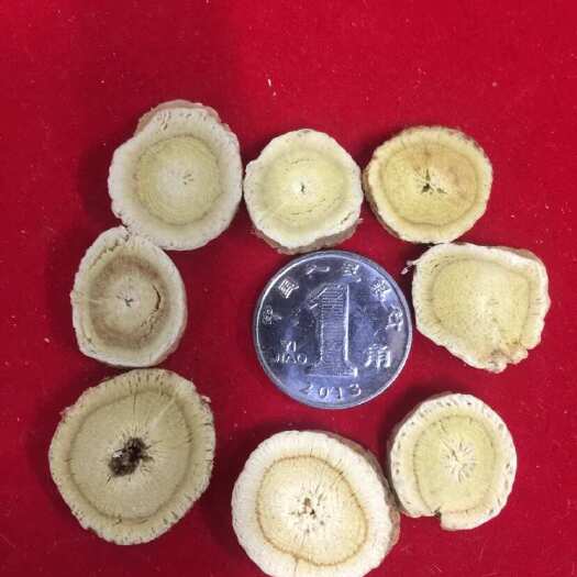 白山东北黄芪规格齐全