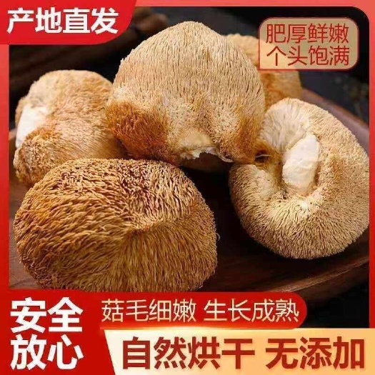广州干猴头菇［包邮］整颗食用菌类食材菇干货档口现货批发原产地直发