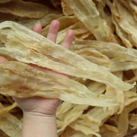 广州鱼鳔鱼胶［包邮］大量批发北海阴阳条足干阴阳肚鳘鱼胶12头孕期