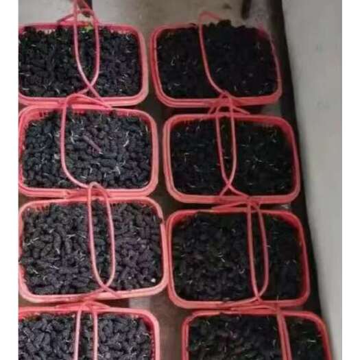 南平桑椹鲜果