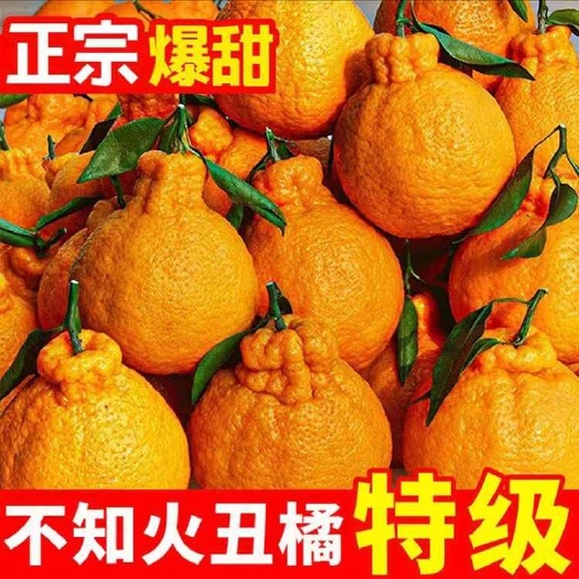 四川不知火丑橘应季新鲜水果丑八怪耙耙柑橘整箱包