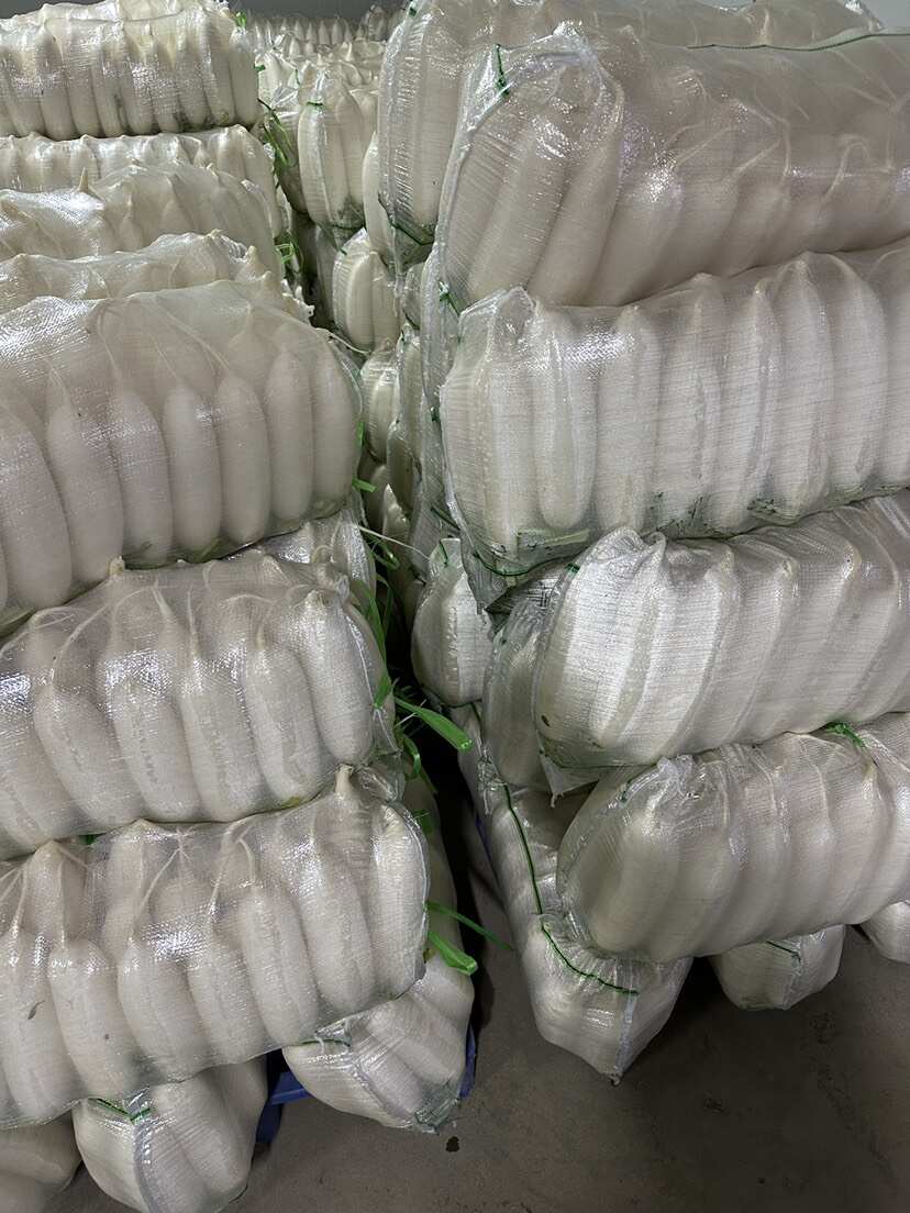 湖北天门白萝卜，产地直供，品质保证，热忱耐心，欢迎询购。