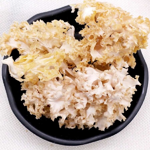 古田县古田绣球菌批发