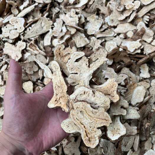 樟树市白术中药材批发 新货无硫浙白术 白术 白术粉包邮 炒白术
