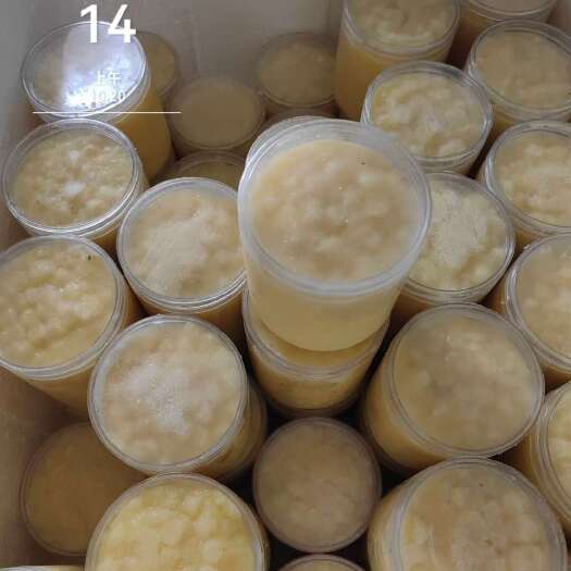 新蜂王浆新鲜500g正品蜂皇浆纯正天然农家自产蜂王乳春浆